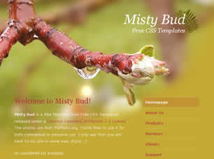 Misty Bud Free Website Template