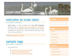 Swan Lake Free Website Template