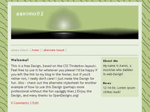 aanimo02 Free Website Template