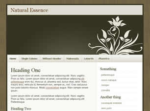 Natural Essence Free CSS Template