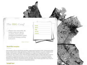 The Big Leaf Free CSS Template
