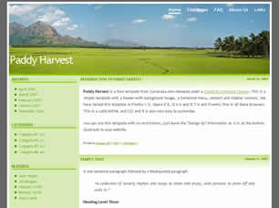 Paddy Harvest Free Website Template