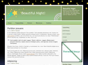 Beautiful Night Free Website Template