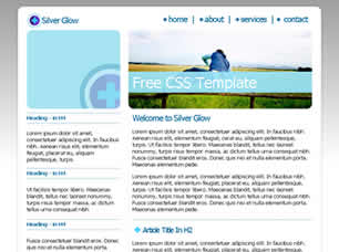 Silver Glow Free Website Template