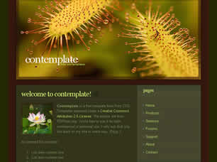 Contemplate Free CSS Template
