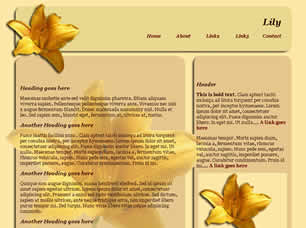 Lily Free Website Template