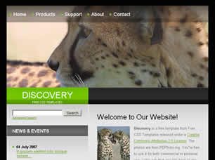Discovery Free Website Template