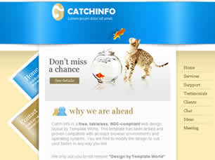 Catch Info Free CSS Template