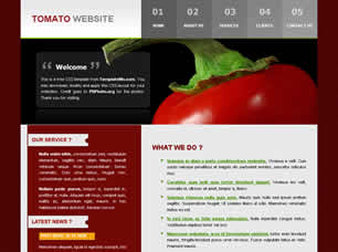 Tomato Free Website Template