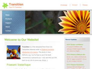 Transition Free CSS Template