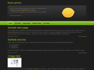 Acid Lemon Free Website Template