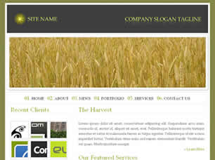 The Harvest Free CSS Template