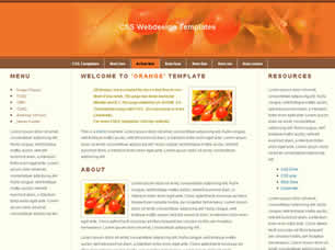Orange Free Website Template