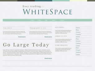 WhiteSpace Free Website Template
