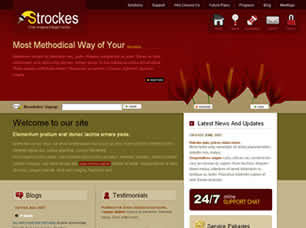 Strockes Free Website Template